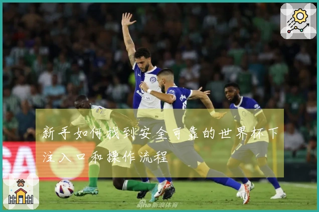 新手如何找到安全可靠的世界杯下注入口和操作流程