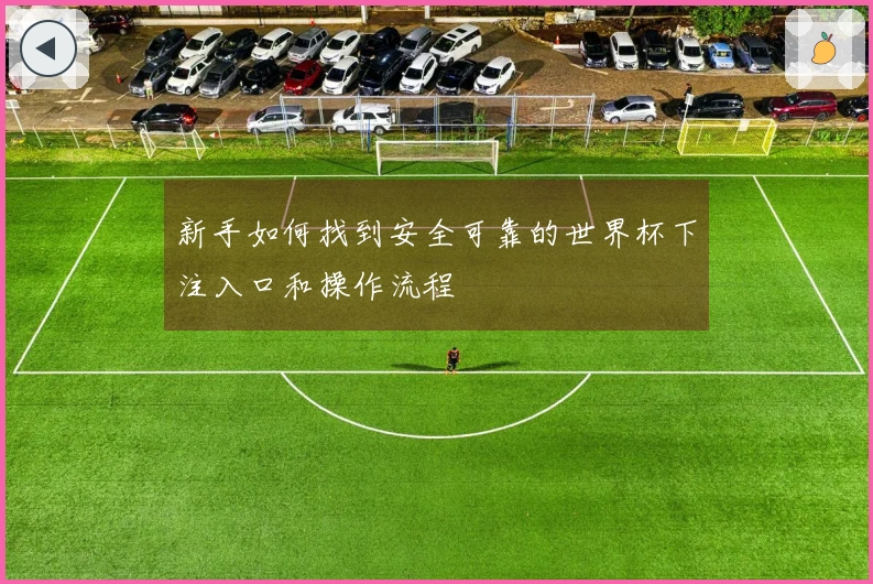 新手如何找到安全可靠的世界杯下注入口和操作流程