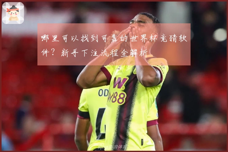 哪里可以找到可靠的世界杯竞猜软件？新手下注流程全解析